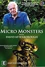 Micro Monsters 3D (2013)