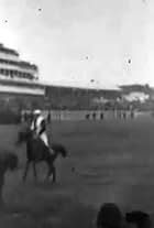 The Derby 1895