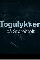 Togulykken på Storebælt (2021)