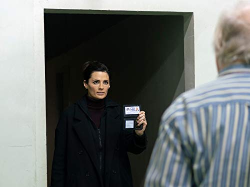 Stana Katic in Absentia (2017)