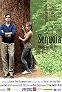 Sequoia (2014)