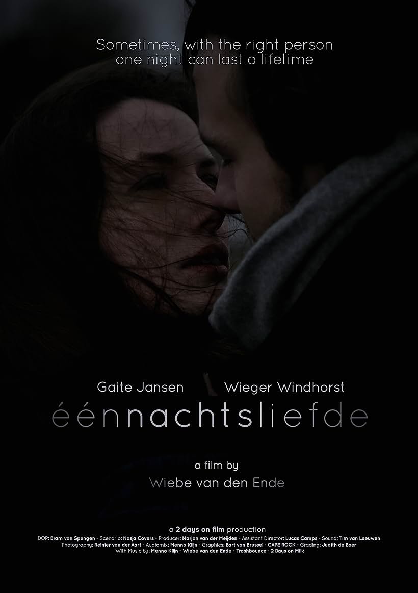 Eénnachtsliefde (2014)