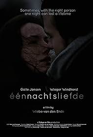 Eénnachtsliefde (2014)