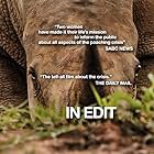 Stroop: Journey into the Rhino Horn War (2018)