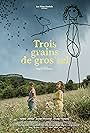 Trois grains de gros sel (2022)