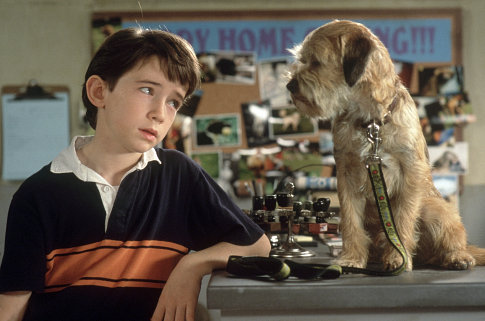 Matthew Broderick, Liam Aiken, Flynn, Defford, and Mallie in Good Boy (2003)