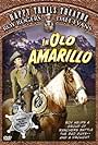 Roy Rogers and Trigger in In Old Amarillo (1951)