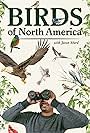 Birds of North America (2019)