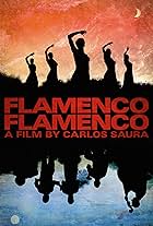 Flamenco Flamenco (2010)