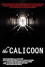 Calicoon