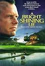 A Bright Shining Lie (1998)