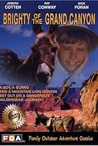 Dandy Curran and Jiggs the Donkey in Brighty of the Grand Canyon (1966)