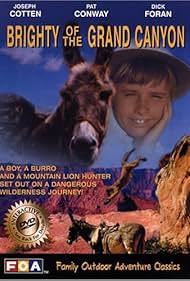 Dandy Curran and Jiggs the Donkey in Brighty of the Grand Canyon (1966)