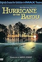 Hurricane on the Bayou (2006)