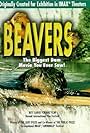 Beavers (1988)