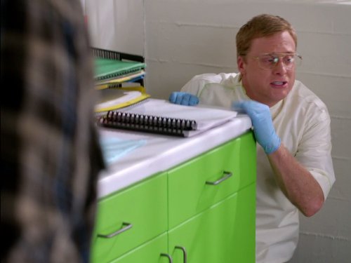 Alan Tudyk in Suburgatory (2011)