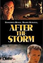 Mili Avital, Benjamin Bratt, Stephen Lang, Herbert Franzier, Simone-Élise Girard, Bernard Graham, Nancy Sinclair, Nestor Serrano, Rosalie Staines, and Bob Walton in After the Storm (2001)