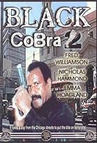 The Black Cobra 2