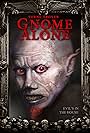 Gnome Alone (2015)