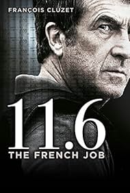 11.6 (2013)