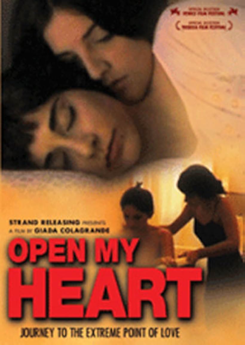 Open My Heart (2002)