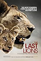 The Last Lions