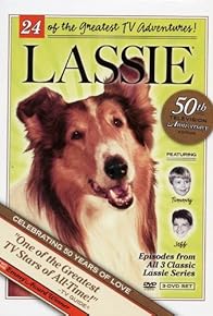 Primary photo for Lassie and the Dynamite