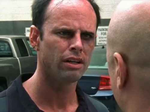 Walton Goggins in The Shield (2002)