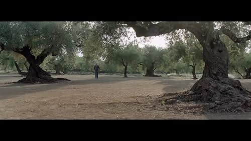 THE OLIVE TREE Theatrical Trailer (UK & Ireland)