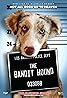 The Bandit Hound (2016) Poster