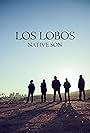 Steve Berlin, David Hidalgo, Conrad Lozano, Cesar Rosas, and Louie Perez in Los Lobos: Native Son (2021)