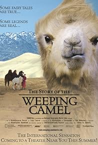 Primary photo for The Story of the Weeping Camel