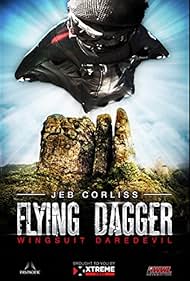 Flying Dagger (2014)