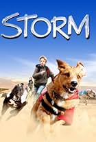 Storm (2009)