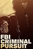 FBI: Criminal Pursuit (TV Series 2011– ) Poster