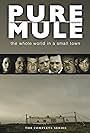 Pure Mule (2005)