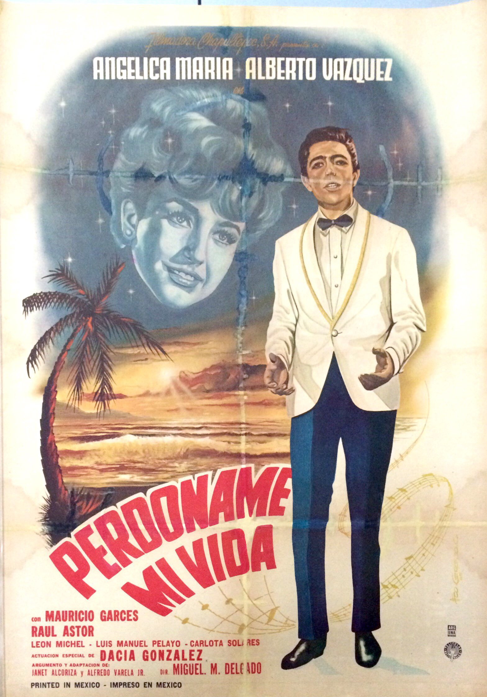 Perdóname mi vida (1965)