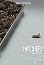 Hatchery (2023)