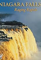 Niagara Falls Raging Rapids (2004)