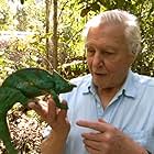 David Attenborough in Madagascar (2011)