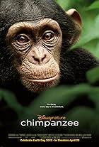 Chimpanzee (2011)