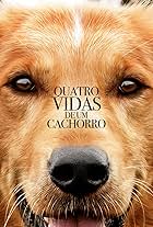 Quatro Vidas de um Cachorro