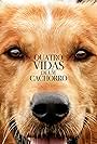 Quatro Vidas de um Cachorro (2017)