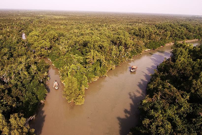 Roar: Tigers of the Sundarbans (2014)