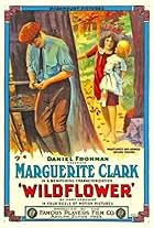 Marguerite Clark and Harold Lockwood in Wildflower (1914)