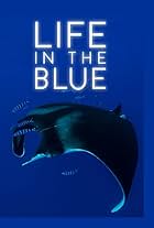 Life in the Blue (2016)