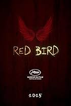 Red bird