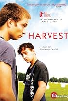 Harvest (2011)