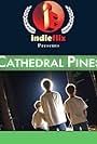 Cathedral Pines (2006)