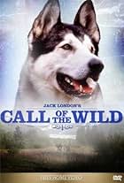 Call of the Wild